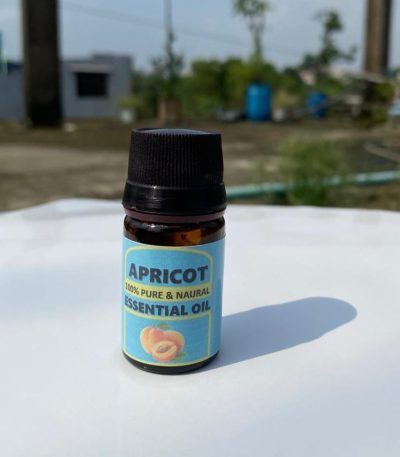 Apricot Essential Oil