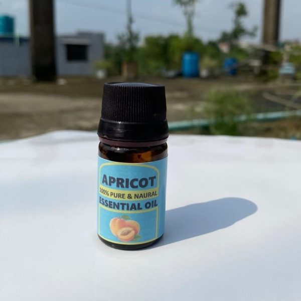 Apricot Essential Oil