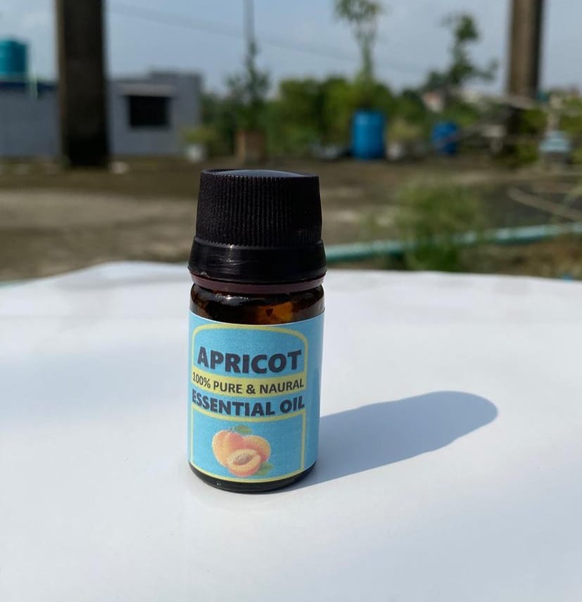 Apricot Essential Oil