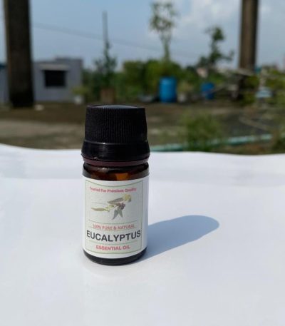 Eucalyptus Essential Oil