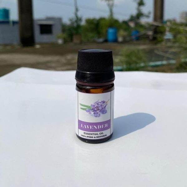 Lavender Essential Oil